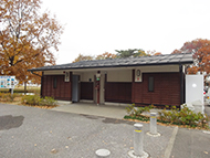gCSi